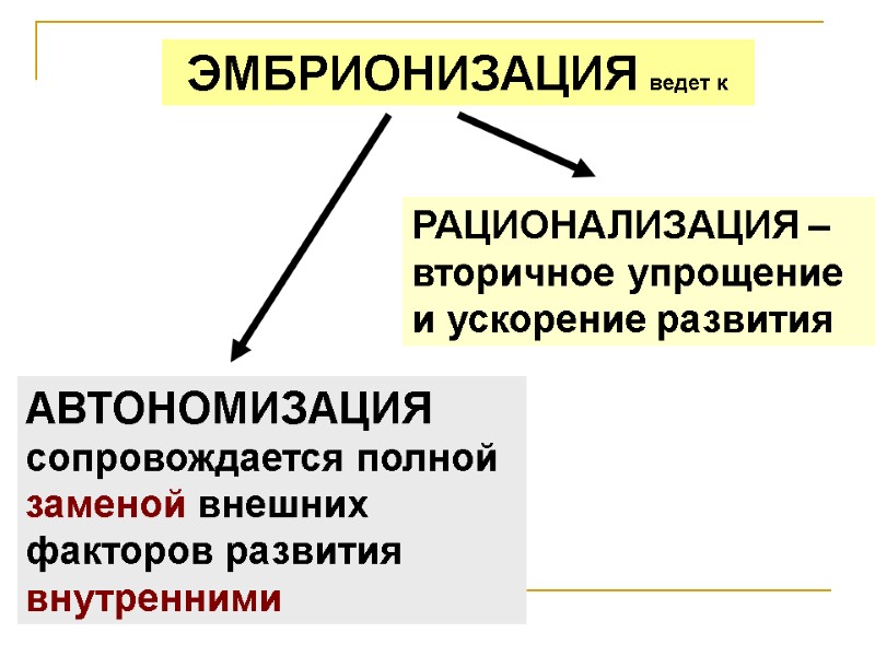 ЭМБРИОНИЗАЦИЯ ведет к АВТОНОМИЗАЦИЯ сопровождается полной заменой внешних факторов развития внутренними ЭМБРИОНИЗАЦИЯ ведет к АВТОНОМИЗАЦИЯ сопровождается полной заменой внешних факторов развития внутренними